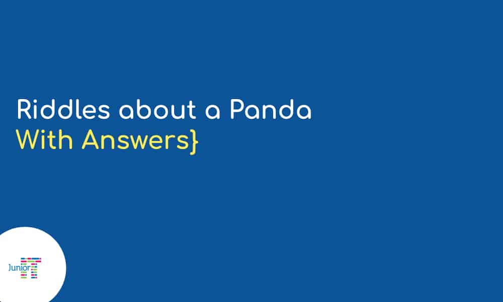 Riddles about a Panda [with answers]:​