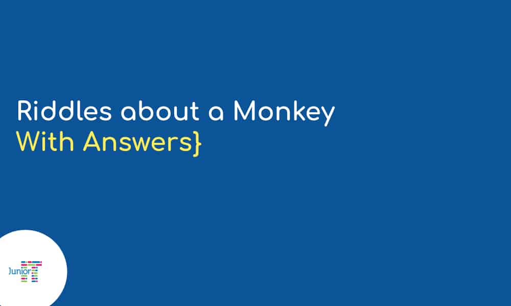 Riddles about a Monkey [with answers]:​